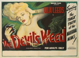 the-devils-weed-poster